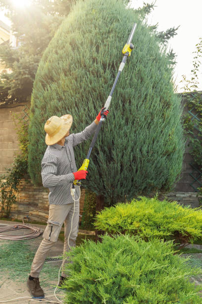 Best Arborist Consultation Services  in Kdeer, IL